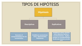 TIPOS DE HIPÓTESIS
Hipótesis
Descriptivas
Enuncian el
comportamiento de una
característica
Establecen asociaciones
entre determinados
fenómenos
Explicativas
Establecen nexos causales
entre distintos hechos o
acontecimientos . Explica
porque un acontecimiento
da de una manera y no de
otra
 
