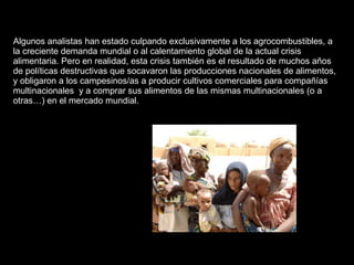 Algunos analistas han estado culpando exclusivamente a los agrocombustibles, a la creciente demanda mundial o al calentamiento global de la actual crisis alimentaria. Pero en realidad, esta crisis también es el resultado de muchos años de políticas destructivas que socavaron las producciones nacionales de alimentos, y obligaron a los campesinos/as a producir cultivos comerciales para compañías multinacionales  y a comprar sus alimentos de las mismas multinacionales (o a otras…) en el mercado mundial.  