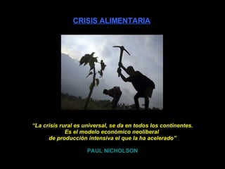 CRISIS ALIMENTARIA “ La crisis rural es universal, se da en todos los continentes. Es el modelo económico neoliberal  de producción intensiva el que la ha acelerado” PAUL NICHOLSON 