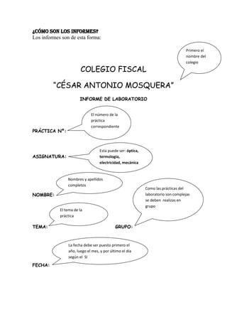 ¿Cómo son los informes?
Los informes son de esta forma:

                                                                 ...