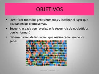 OBJETIVOS
• Identificar todos los genes humanos y localizar el lugar que
  ocupan en los cromosomas.
• Secuenciar cada gen (averiguar la secuencia de nucleótidos
  que lo forman)
• Determinación de la función que realiza cada uno de los
  genes.




                         BIOLOGIA. CURSO 2011-12                 3
 