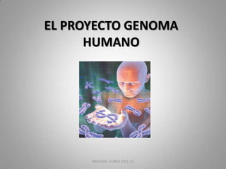 EL PROYECTO GENOMA
      HUMANO




      BIOLOGIA. CURSO 2011-12   1
 