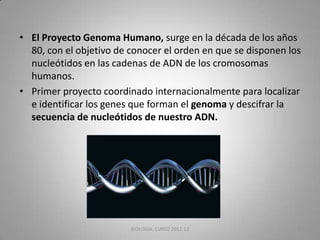 • El Proyecto Genoma Humano, surge en la década de los años
80, con el objetivo de conocer el orden en que se disponen los
nucleótidos en las cadenas de ADN de los cromosomas
humanos.
• Primer proyecto coordinado internacionalmente para localizar
e identificar los genes que forman el genoma y descifrar la
secuencia de nucleótidos de nuestro ADN.

BIOLOGIA. CURSO 2011-12

2

 