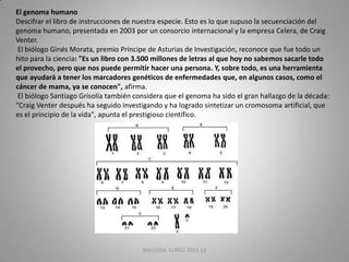 El genoma humano
Descifrar el libro de instrucciones de nuestra especie. Esto es lo que supuso la secuenciación del
genoma humano, presentada en 2003 por un consorcio internacional y la empresa Celera, de Craig
Venter.
El biólogo Ginés Morata, premio Príncipe de Asturias de Investigación, reconoce que fue todo un
hito para la ciencia: "Es un libro con 3.500 millones de letras al que hoy no sabemos sacarle todo
el provecho, pero que nos puede permitir hacer una persona. Y, sobre todo, es una herramienta
que ayudará a tener los marcadores genéticos de enfermedades que, en algunos casos, como el
cáncer de mama, ya se conocen", afirma.
El biólogo Santiago Grisolía también considera que el genoma ha sido el gran hallazgo de la década:
"Craig Venter después ha seguido investigando y ha logrado sintetizar un cromosoma artificial, que
es el principio de la vida", apunta el prestigioso científico.

BIOLOGIA. CURSO 2011-12

5

 