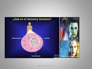 BIOLOGIA. CURSO 2011-12

6

 