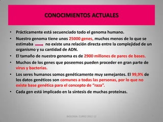 CONOCIMIENTOS ACTUALES
• Prácticamente está secuenciado todo el genoma humano.
• Nuestro genoma tiene unos 25000 genes, muchos menos de lo que se
estimaba
no existe una relación directa entre la complejidad de un
organismo y su cantidad de ADN.
• El tamaño de nuestro genoma es de 2900 millones de pares de bases.
• Muchos de los genes que poseemos pueden proceder en gran parte de
virus y bacterias.
• Los seres humanos somos genéticamente muy semejantes. El 99,9% de
los datos genéticos son comunes a todas las personas, por lo que no
existe base genética para el concepto de “raza”.
• Cada gen está implicado en la síntesis de muchas proteínas.

BIOLOGIA. CURSO 2011-12

7

 
