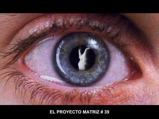 EL PROYECTO MATRIZ # 39 