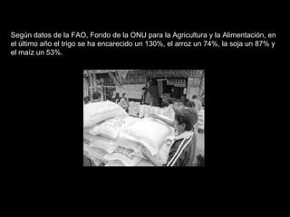 Según datos de la FAO, Fondo de la ONU para la Agricultura y la Alimentación, en el último año el trigo se ha encarecido un 130%, el arroz un 74%, la soja un 87% y el maíz un 53%.  