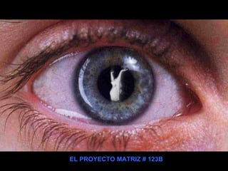 EL PROYECTO MATRIZ # 123B 
