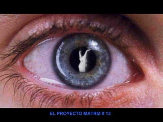 EL PROYECTO MATRIZ # 13
 