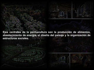 Ejes centrales de la permacultura son la producción de alimentos, abastecimiento de energía, el diseño del paisaje y la organización de estructuras sociales.  