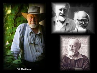 Bill Mollison 