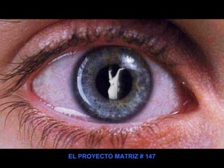 EL PROYECTO MATRIZ # 147
 