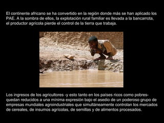 El continente africano se ha convertido en la región donde más se han aplicado los PAE. A la sombra de ellos, la explotación rural familiar es llevada a la bancarrota, el productor agrícola pierde el control de la tierra que trabaja.  Los ingresos de los agricultores -y esto tanto en los países ricos como pobres- quedan reducidos a una mínima expresión bajo el asedio de un poderoso grupo de empresas mundiales agroindustriales que simultáneamente controlan los mercados de cereales, de insumos agrícolas, de semillas y de alimentos procesados.  