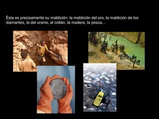 Ésta es precisamente su maldición: la maldición del oro, la maldición de los diamantes, la del uranio, el coltán, la madera, la pesca…  