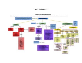 MAPA CONCEPTUAL
 