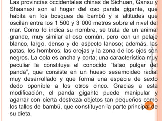 Lic. PEDRO GUERRA33PÁRRAFOS PARALELOS O COMPARTIDOS En primer lugar hay que definir el objeto, animal o cosa que se desea desarrollar , de una forma concreta y con un orden establecido. En segundo lugar, utilizar oraciones para enfatizar las cualidades y factores o elementos esenciales , dependiendo del tipo de texto. 