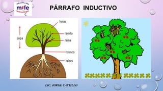 PÁRRAFO INDUCTIVO
LIC. JORGE CASTILLO
 