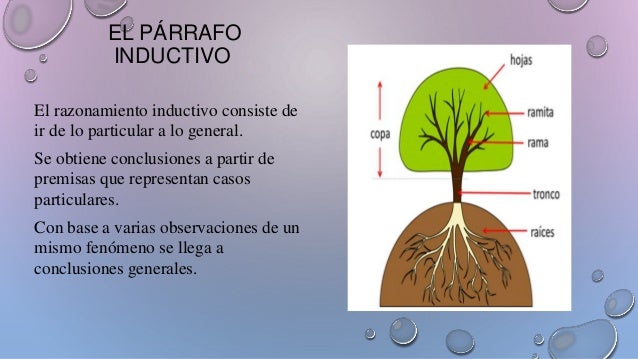 El párrafo inductivo
