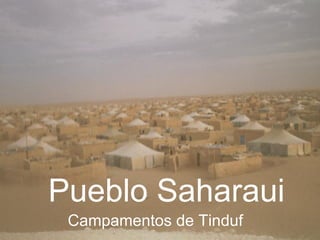 Pueblo Saharaui
Campamentos de Tinduf
 