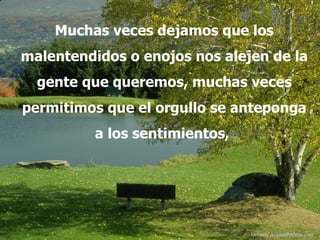 Muchas veces dejamos que los malentendidos o enojos nos alejen de la gente que queremos, muchas veces permitimos que el orgullo se anteponga a los sentimientos,  Difunde  AvanzaPorMas.com 