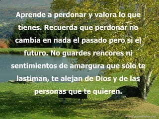 Aprende a perdonar y valora lo que tienes. Recuerda que perdonar no cambia en nada el pasado pero si el futuro. No guardes rencores ni sentimientos de amargura que sólo te lastiman ,  te alejan de Dios  y de las personas que te quieren . Difunde  AvanzaPorMas.com 