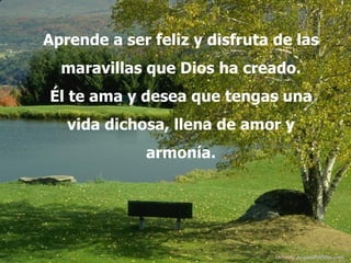 Aprende a ser feliz y disfruta de las maravillas que Dios ha creado. Él te ama y desea que tengas una vida dichosa, llena de amor y armonía. Difunde  AvanzaPorMas.com 