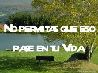 No per a que eso
      mit s
 pa en t V .
    se u ida
            Difunde AvanzaPorMas.com
 