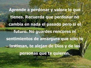 Aprende a perdonar y valora lo que
 tienes. Recuerda que perdonar no
 cambia en nada el pasado pero si el
   futuro. No guardes rencores ni
sentimientos de amargura que sólo te
 lastiman, te alejan de Dios y de las
      personas que te quieren.


                                 Difunde AvanzaPorMas.com
 