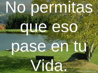 No permitas
que eso
pase en tu
Vida. Difunde AvanzaPorMas.com
 