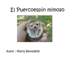 El Puercoespín mimoso Autor : Mario Benedetti 