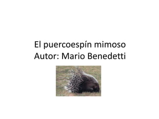 El puercoespín mimoso  Autor: Mario Benedetti  