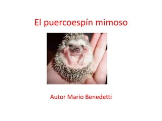 El puercoespín mimoso Autor Mario Benedetti 