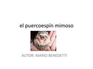 el puercoespín mimoso  AUTOR: MARIO BENEDETTI 