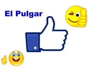 El Pulgar 
 