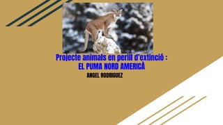 Projecte animals en perill d’extinció :
EL PUMA NORD AMERICÀ
ANGEL RODRIGUEZ
 