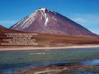           Y le contó lo que había visto en el bosque.   El sabio lo escuchó y luego dijo:            - Quiero que sepas algo.  Yo también soy un hombre muy creyente.             Dios no manda señales en vano.  Dios te mandó esa señal para que aprendieras.   