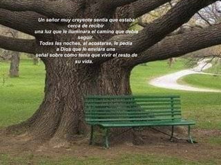 Un señor muy creyente sentía que estaba cerca de recibir  una luz que le iluminara el camino que debía seguir.  Todas las noches, al acostarse, le pedía  a Dios que le enviara una  señal sobre cómo tenía que vivir el resto de su vida.     