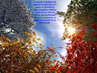 Se quedó mirándolo y de repente vio aparecer a un puma. La situación lo dejó congelado; estaba a punto de ver cómo el puma, aprovechándose de las circunstancias, se comía al cervatillo de un sólo bocado.  