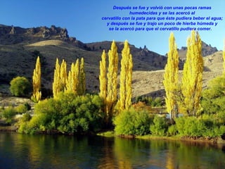 Después se fue y volvió con unas pocas ramas humedecidas y se las acercó al  cervatillo con la pata para que éste pudiera beber el agua; y después se fue y trajo un poco de hierba húmeda y  se la acercó para que el cervatillo pudiera comer.     