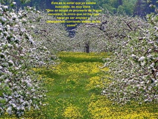 Esta es la señal que yo estaba buscando, es muy clara.  "Dios se ocupa de proveerte de lo que necesites, lo único que no hay que hacer es ser ansioso y  desesperado corriendo detrás de las cosas".     