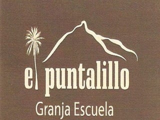 Excursión al cortijo El Puntalillo. CEIP San Pedro | PPT