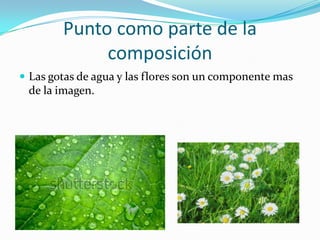 Punto como parte de la
             composición
 Las gotas de agua y las flores son un componente mas
 de la imagen.
 