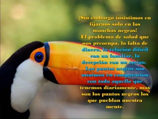 ¡Sin embargo insistimos en
fijarnos solo en las
manchas negras!
El problema de salud que
nos preocupa, la falta de
dinero, la relación difícil
con un familiar, la
decepción con un amigo.
Los puntos negros son
mínimos en comparación
con todo aquello que
tenemos diariamente, mas
son los puntos negros los
que pueblan nuestra
mente.

 