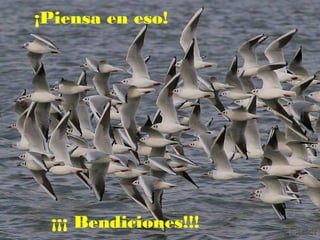 ¡Piensa en eso!

¡¡¡ Bendiciones!!!

 