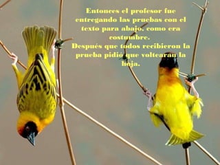 Entonces el profesor fue
entregando las pruebas con el
texto para abajo, como era
costumbre.
Después que todos recibieron la
prueba pidió que voltearan la
hoja.

 