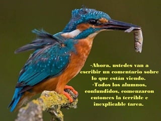 -Ahora, ustedes van a
escribir un comentario sobre
lo que están viendo.
-Todos los alumnos,
confundidos, comenzaron
entonces la terrible e
inexplicable tarea.

 