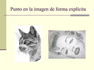 Punto en la imagen de forma explícita

 