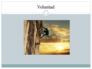 Voluntad 
 