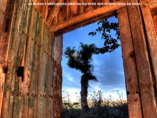 LA BUENA Y VERDADERA AMISTAD NO DEBE SER SOSPECHOSA EN NADA 
 